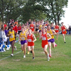 Photo: 261003-RunningoftheCows-NationalsPreMeet-35890-TLB
