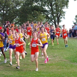 Photo: 261003-RunningoftheCows-NationalsPreMeet-35898-TLB