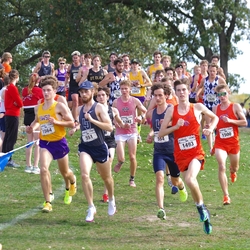 Photo: 261003-RunningoftheCows-NationalsPreMeet-35910-TLB
