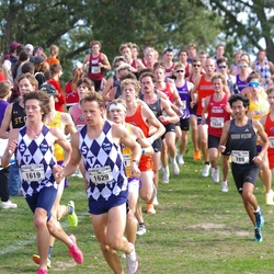 Photo: 261003-RunningoftheCows-NationalsPreMeet-35919-TLB