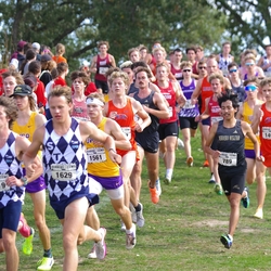 Photo: 261003-RunningoftheCows-NationalsPreMeet-35924-TLB