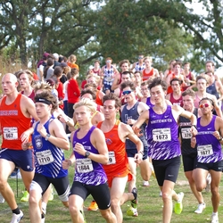 Photo: 261003-RunningoftheCows-NationalsPreMeet-35996-TLB