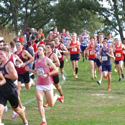 Photo: 261003-RunningoftheCows-NationalsPreMeet-36020-TLB