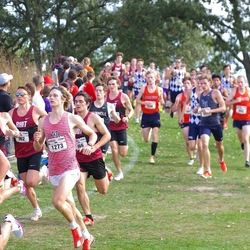 Photo: 261003-RunningoftheCows-NationalsPreMeet-36024-TLB
