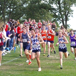 Photo: 261003-RunningoftheCows-NationalsPreMeet-36025-TLB