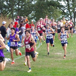 Photo: 261003-RunningoftheCows-NationalsPreMeet-36027-TLB