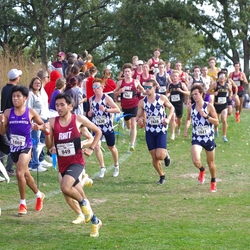 Photo: 261003-RunningoftheCows-NationalsPreMeet-36028-TLB