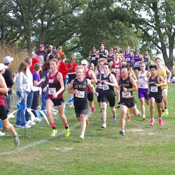 Photo: 261003-RunningoftheCows-NationalsPreMeet-36029-TLB