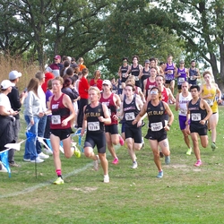 Photo: 261003-RunningoftheCows-NationalsPreMeet-36030-TLB