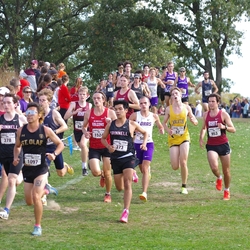 Photo: 261003-RunningoftheCows-NationalsPreMeet-36031-TLB