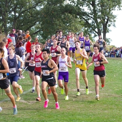 Photo: 261003-RunningoftheCows-NationalsPreMeet-36032-TLB