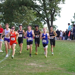 Photo: 261003-RunningoftheCows-NationalsPreMeet-36169-TLB