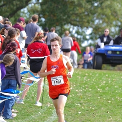 Photo: 261003-RunningoftheCows-NationalsPreMeet-36336-TLB