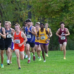 Photo: 261003-RunningoftheCows-NationalsPreMeet-36812-RJC