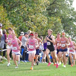 Photo: 261003-RunningoftheCows-NationalsPreMeet-36957-TLB