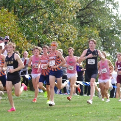 Photo: 261003-RunningoftheCows-NationalsPreMeet-36987-TLB