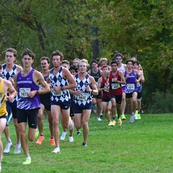 Photo: 261003-RunningoftheCows-NationalsPreMeet-37273-RJC