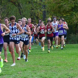 Photo: 261003-RunningoftheCows-NationalsPreMeet-37296-RJC