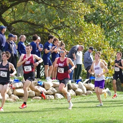 Photo: 261003-RunningoftheCows-NationalsPreMeet-37388-TLB