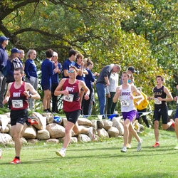Photo: 261003-RunningoftheCows-NationalsPreMeet-37393-TLB