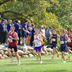 Photo: 261003-RunningoftheCows-NationalsPreMeet-37401-TLB