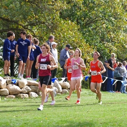 Photo: 261003-RunningoftheCows-NationalsPreMeet-37435-TLB