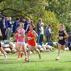 Photo: 261003-RunningoftheCows-NationalsPreMeet-37441-TLB