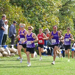 Photo: 261003-RunningoftheCows-NationalsPreMeet-37530-TLB