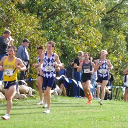 Photo: 261003-RunningoftheCows-NationalsPreMeet-37580-TLB