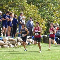Photo: 261003-RunningoftheCows-NationalsPreMeet-37641-TLB