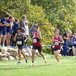Photo: 261003-RunningoftheCows-NationalsPreMeet-37642-TLB