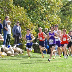 Photo: 261003-RunningoftheCows-NationalsPreMeet-37643-TLB