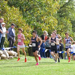 Photo: 261003-RunningoftheCows-NationalsPreMeet-37683-TLB