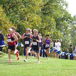 Photo: 261003-RunningoftheCows-NationalsPreMeet-37722-TLB