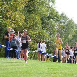 Photo: 261003-RunningoftheCows-NationalsPreMeet-37744-TLB