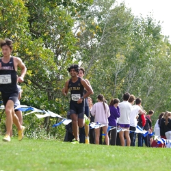 Photo: 261003-RunningoftheCows-NationalsPreMeet-37929-TLB