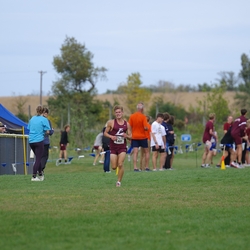 Photo: 261003-RunningoftheCows-NationalsPreMeet-38587-TLB