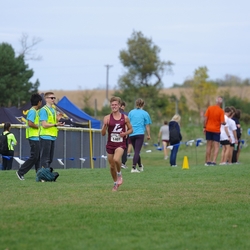 Photo: 261003-RunningoftheCows-NationalsPreMeet-38589-TLB