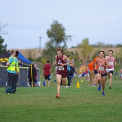 Photo: 261003-RunningoftheCows-NationalsPreMeet-38633-TLB