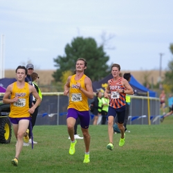 Photo: 261003-RunningoftheCows-NationalsPreMeet-38906-TLB