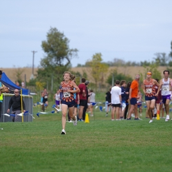 Photo: 261003-RunningoftheCows-NationalsPreMeet-39101-TLB
