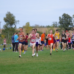 Photo: 261003-RunningoftheCows-NationalsPreMeet-39129-TLB