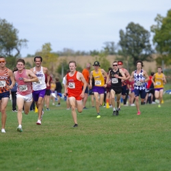 Photo: 261003-RunningoftheCows-NationalsPreMeet-39155-TLB