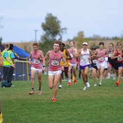 Photo: 261003-RunningoftheCows-NationalsPreMeet-39572-TLB