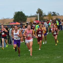 Photo: 261003-RunningoftheCows-NationalsPreMeet-40023-RJC