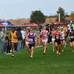 Photo: 261003-RunningoftheCows-NationalsPreMeet-40135-RJC