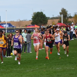 Photo: 261003-RunningoftheCows-NationalsPreMeet-40157-RJC