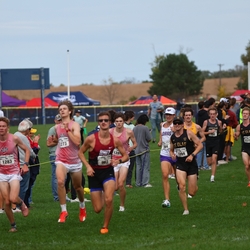 Photo: 261003-RunningoftheCows-NationalsPreMeet-40194-RJC