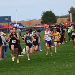 Photo: 261003-RunningoftheCows-NationalsPreMeet-40302-RJC