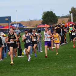 Photo: 261003-RunningoftheCows-NationalsPreMeet-40306-RJC